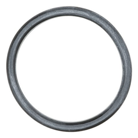 Evaporative Emissions System Leak Detection Pump Seal WVE 4B2010