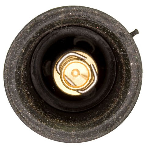 Direct Ignition Coil Boot WVE 4C2041