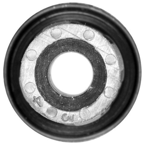 Direct Ignition Coil Boot WVE 4C2055