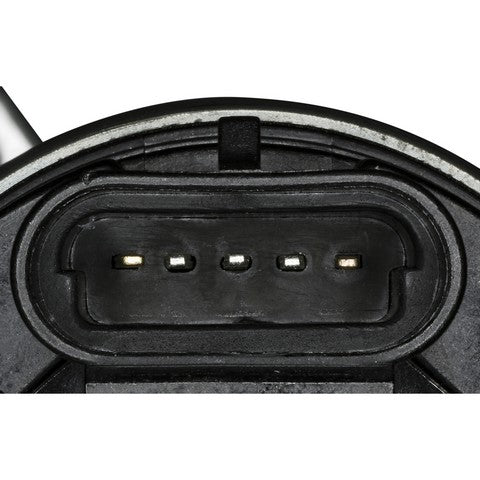 Exhaust Gas Recirculation (EGR) Valve WVE 4F1126