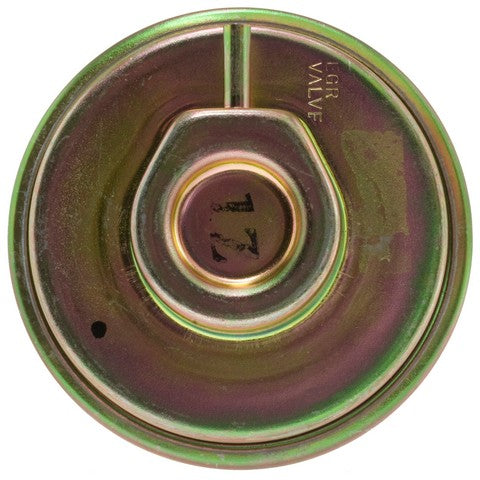 Exhaust Gas Recirculation (EGR) Valve WVE 4F1520