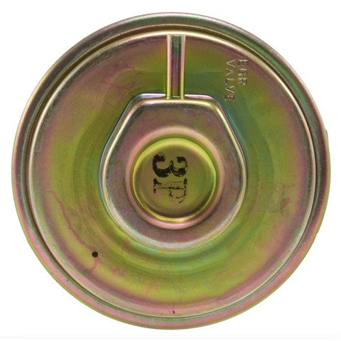 Exhaust Gas Recirculation (EGR) Valve WVE 4F1550