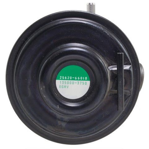 Exhaust Gas Recirculation (EGR) Valve WVE 4F1673