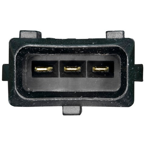 Exhaust Gas Recirculation (EGR) Valve WVE 4F1989