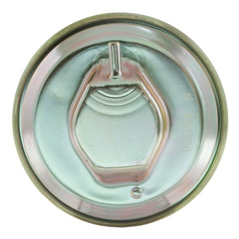 Exhaust Gas Recirculation (EGR) Valve WVE 4F2021