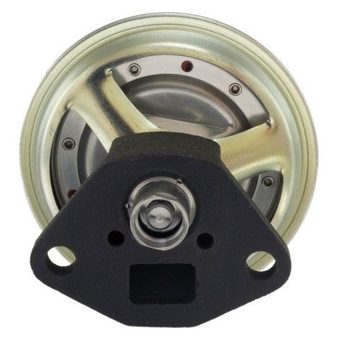 Exhaust Gas Recirculation (EGR) Valve WVE 4F2026