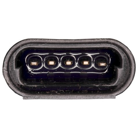 Exhaust Gas Recirculation (EGR) Valve WVE 4F2029