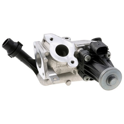 Exhaust Gas Recirculation (EGR) Valve WVE 4F2176