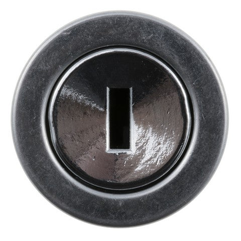 Ignition Lock Cylinder WVE 4H1829