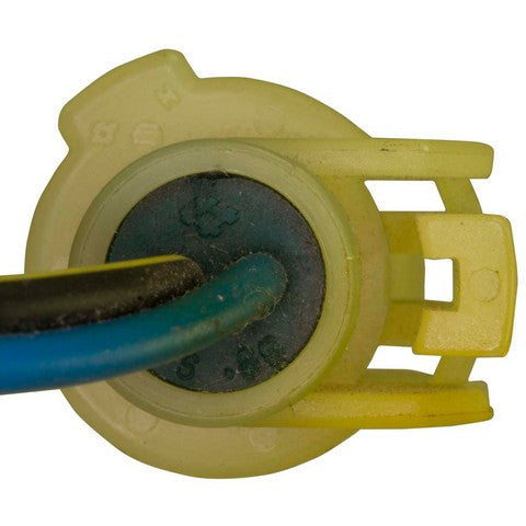 Distributor Ignition Pickup WVE 4P1183