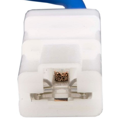 Distributor Ignition Pickup WVE 4P1289