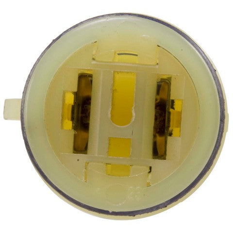 Distributor Ignition Pickup WVE 4P1303