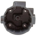 Distributor Cap WVE 4R1248
