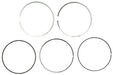 Engine Piston Ring Set MAHLE Clevite 504 42 N0