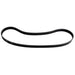 Serpentine Belt Dayco 5060453