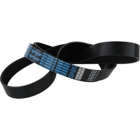 Serpentine Belt Dayco 5080750SC