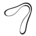 Serpentine Belt Dayco 5100608SC