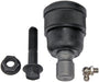 Suspension Ball Joint Dorman MAS BJ651015