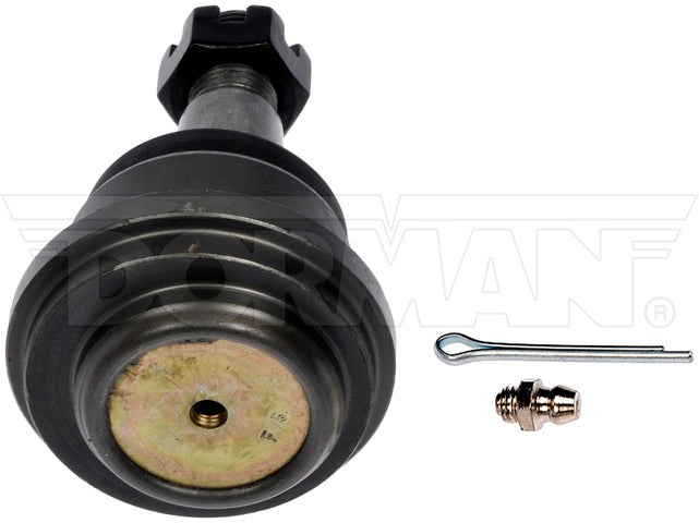 Alignment Caster / Camber Ball Joint Dorman MAS BJ81156