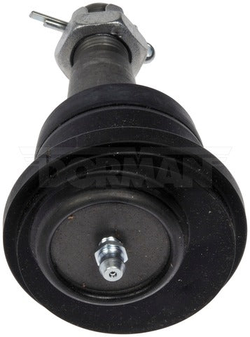 Alignment Caster / Camber Ball Joint Dorman Premium Chassis BJ811145PR