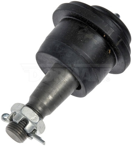 Alignment Caster / Camber Ball Joint Dorman Premium Chassis BJ811145PR