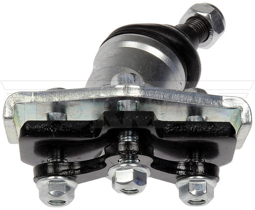 Alignment Caster / Camber Ball Joint Dorman Premium Chassis BJ431010PR