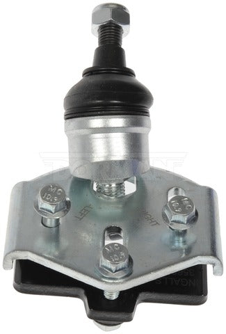 Alignment Caster / Camber Ball Joint Dorman Premium Chassis BJ431010PR