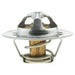 Engine Coolant Thermostat MotoRad 542-170
