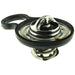 Engine Coolant Thermostat MotoRad 5449-190