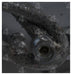 A/C Compressor Four Seasons 57572