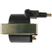Ignition Coil WVE 5C1022