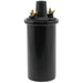 Ignition Coil WVE 5C1063