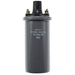 Ignition Coil WVE 5C1079