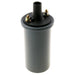 Ignition Coil WVE 5C1086