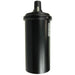 Ignition Coil WVE 5C1175