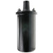 Ignition Coil WVE 5C1260