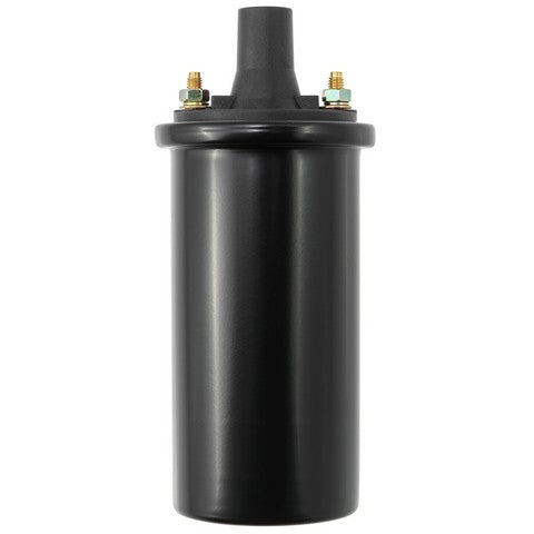 Ignition Coil WVE 5C1331