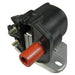 Ignition Coil WVE 5C1494