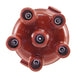 Distributor Cap WVE 5D1036