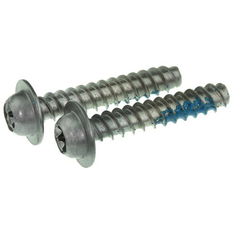 Distributor Cap WVE 5D1078