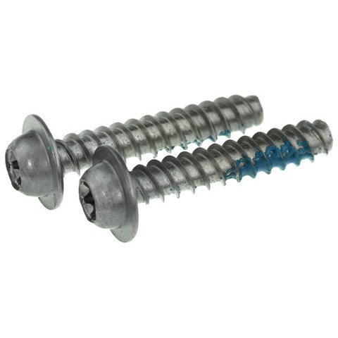 Distributor Cap WVE 5D1079