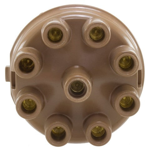 Distributor Cap WVE 5D1364