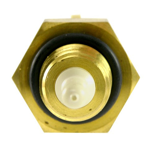 Engine Intake Manifold Temperature Sensor WVE 5S1001