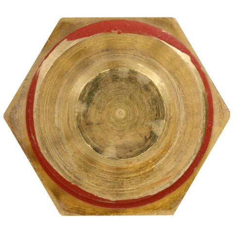 Engine Coolant Temperature Sensor WVE 5S1018