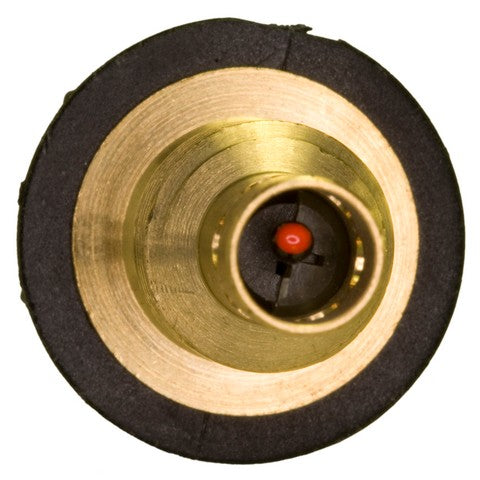 Air Charge Temperature Sensor WVE 5S1081