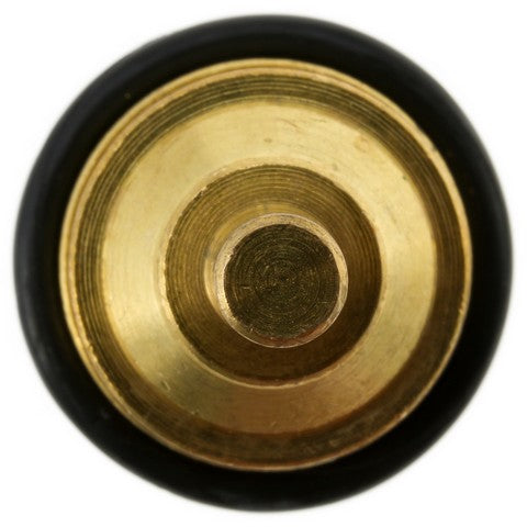 Engine Coolant Temperature Sensor WVE 5S12036