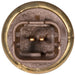 Engine Coolant Temperature Sensor WVE 5S12425