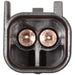 Water In Fuel (WiF) Sensor WVE 5S13648
