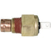 Cold Start Valve Temperature Switch WVE 5S13650