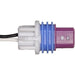 Power Door Resistance Pinch Sensor WVE 5S13857